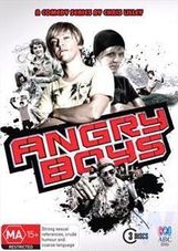 AngryBoysDVD.jpg