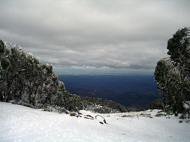 Baw-baw-view-gippsland.jpg