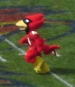 Cy the mascot.JPG