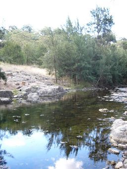 Turon river nsw 1.jpg