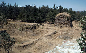 Grass- and scrub-covered ruins set against a backdrop of low pine forest. A crumbling squat square tower stands behind to the right, all that remains of the Temple of Tohil, with the remains of the walls of the ballcourt to the left in the foreground.