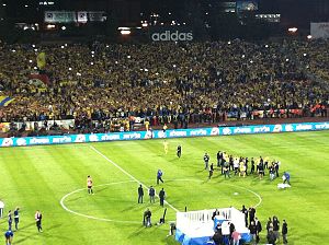 A stand full of football supporters clad in yellow and blue, beside a pitch.