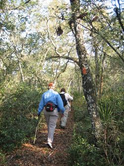 Florida Trail-ONF.jpg