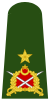 Turkey-army-OF-6.svg