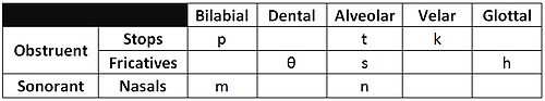 Sauk consonant chart