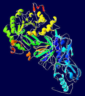 Urease-1E9Z.jpg