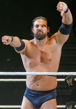 Damien sandow.jpg