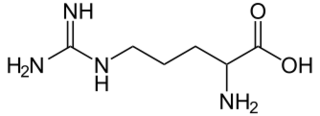 2D chemical structure of arginine