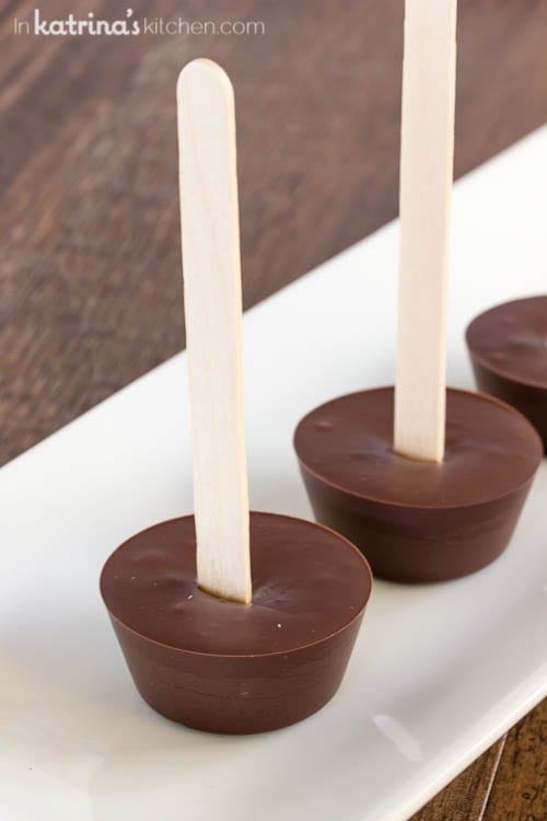 Hot Cocoa disks on with a popsicle stick shown on a white platter