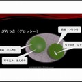 物理ベースでの絵作りを通して見えてきたもの／アグニのデザイナーが語るリアルタイムワークフロー・・・スクウェア・エニックス・オープンカンファレンス2012