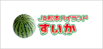 JA松本ハイランドすいか