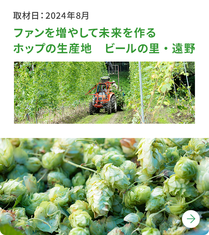 ファンを増やして未来を作るホップの生産地　ビールの里・遠野 取材日：2024年8月