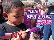 米国NY 日本産さつまいもが人気！？