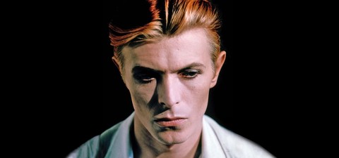 The Man Who Fell to Earth