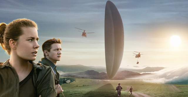 From Arrival to Enchanted, These Are the Best Amy Adams Movies You Can Watch Now