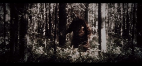 Secrets of the Sasquatch