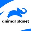 Animal Planet