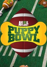 Puppy Bowl