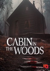 Cabin in the Woods