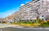 神奈川県川崎市宮前区の売り店舗・事務所／宮崎台_画像