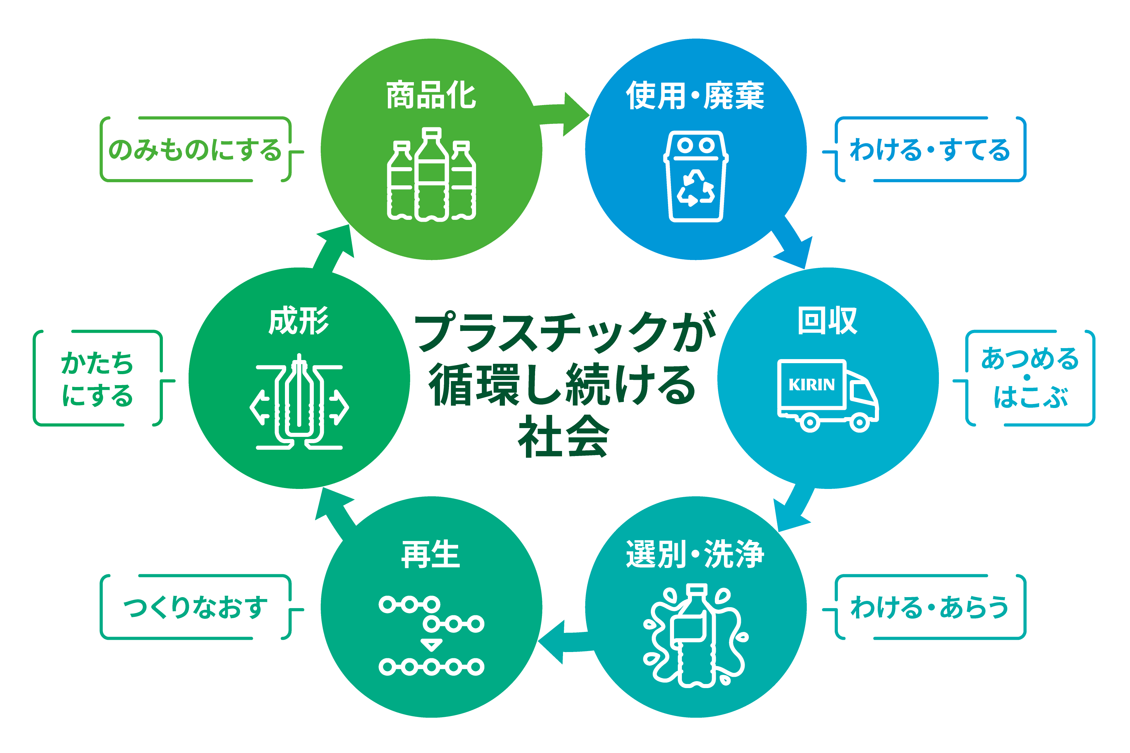 プラスチックが循環し続ける社会。使用・廃棄→回収→選別・洗浄→再生→成形→商品化の循環。