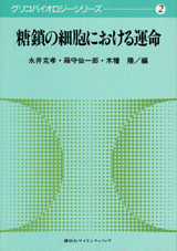 糖鎖の細胞における運命 