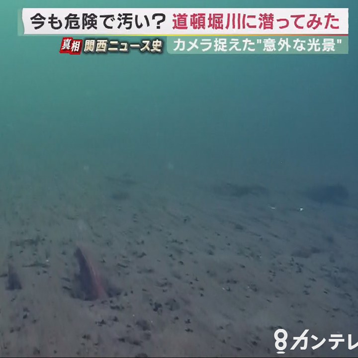 「アユが住める水質にまで改善」した道頓堀川　かつては「危険で汚い」歴史も…水中でカメラがとらえた「魚の群れ」