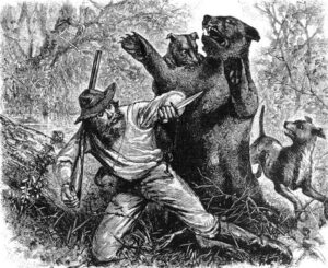 Hugh Glass Illustration.