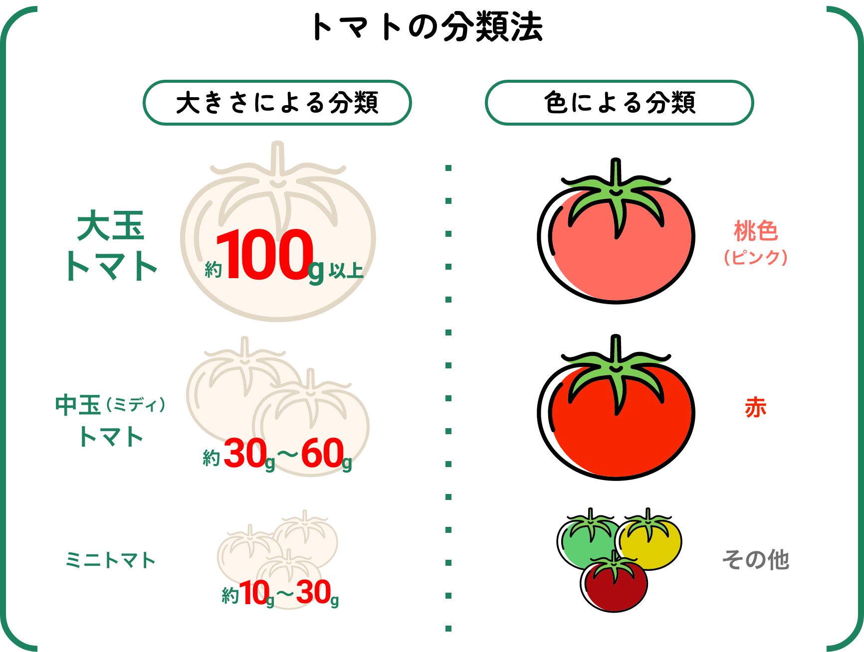 トマトの分類法