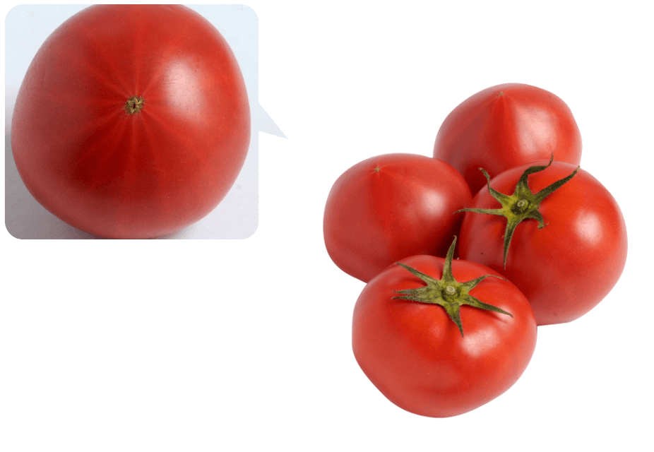 おしり部分から放射状に延びる白い線は「スターマーク」といって、甘くおいしいトマトの目印。フルーツトマトはスターマークがくっきりと現れています。