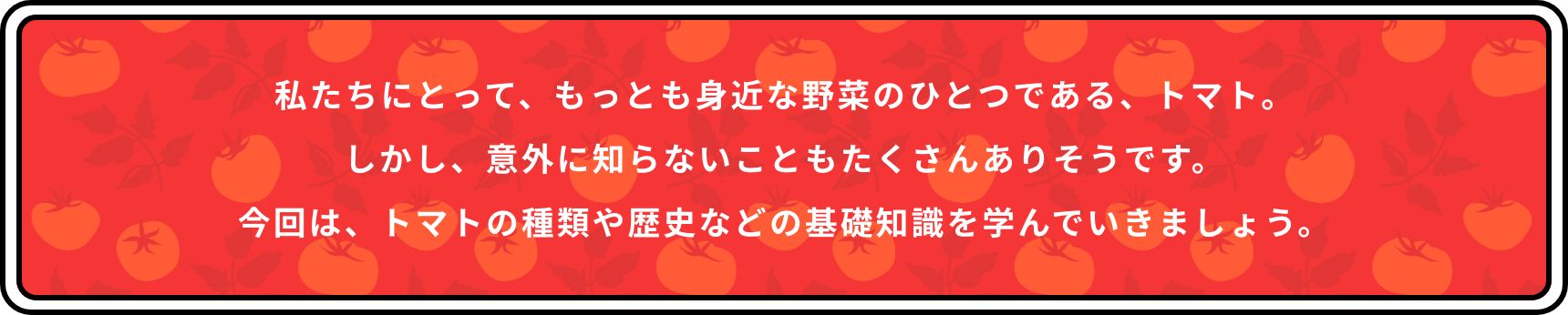 私たちにとって、もっとも身近な野菜のひとつである、トマト。しかし、意外に知らないこともたくさんありそうです。今回は、トマトの種類や歴史などの基礎知識を学んでいきましょう。