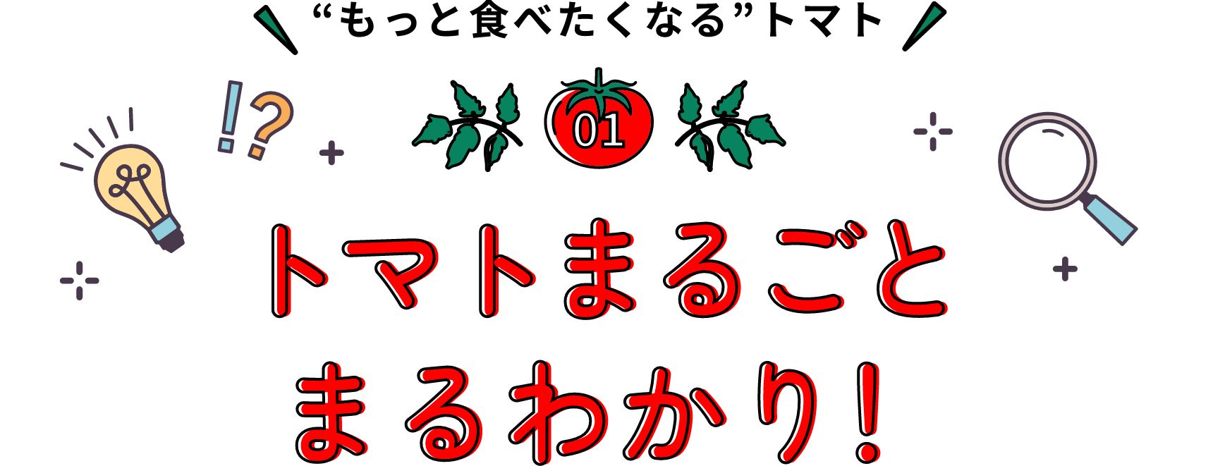 もっと食べたくなるトマト トマトまるごとまるわかり！