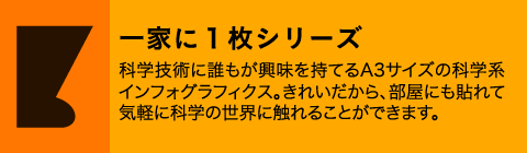 一家に１枚