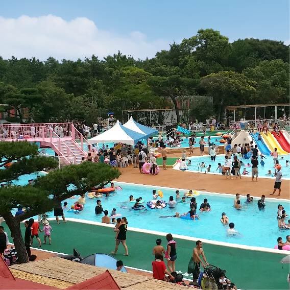 フェニックス自然動物園 プール