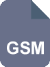 対応フォーマット: GSM