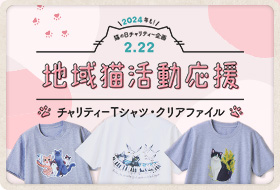 2024年も！猫の日チャリティー企画 2.22 地域猫活動応援 チャリティーTシャツ・クリアファイル