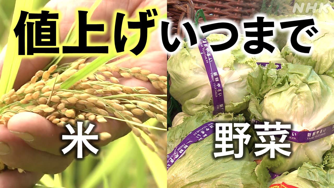 米不足 値上げ いつまで 2024 新米や野菜の価格･生育状況は 新潟など生産者の最新状況を取材