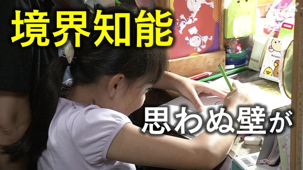 境界知能 子どもの進路･就職どうすれば？東京･町田 “療育手帳”の取得に壁が…