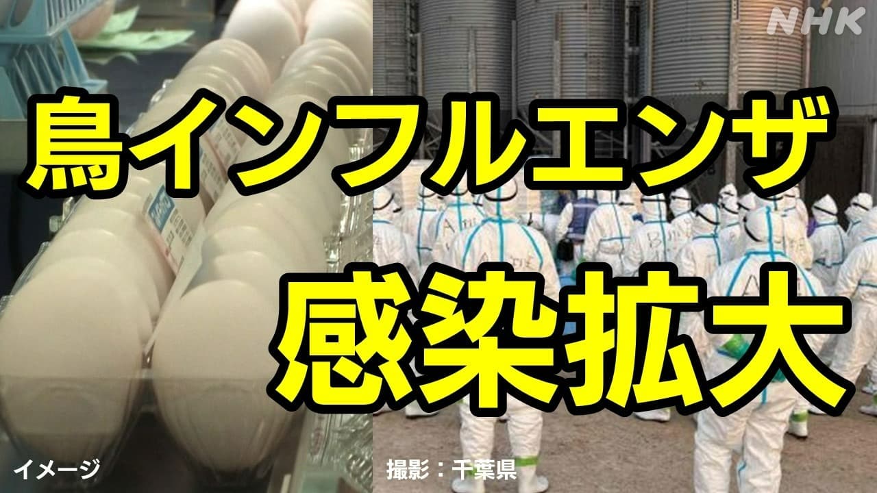 鳥インフルエンザ 千葉県銚子市･旭市で相次ぐ 最新情報まとめ 養鶏場の密集地で拡大 なぜ？影響は？