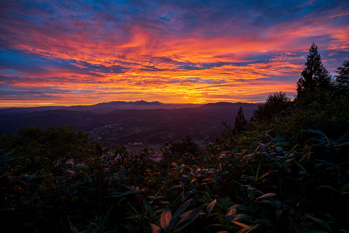 Shintaro Tsushima×NIKKOR Z 17-28mm f/2.8作品