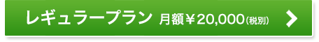 レギュラープラン 月額￥20,000（税別）