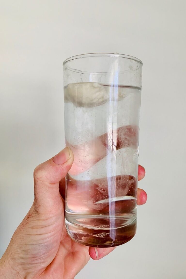 Sourdough float test - hand holding a glass of water with a spoonful of sourdough starter floating on top of the water