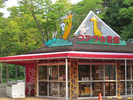 コアラ売店