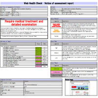 KCCS、脆弱性を検査する「グローバルWeb健康診断」提供開始 画像