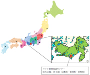 コメリ／静岡県菊川市に「静岡流通センター」オープン、50店舗へ供給