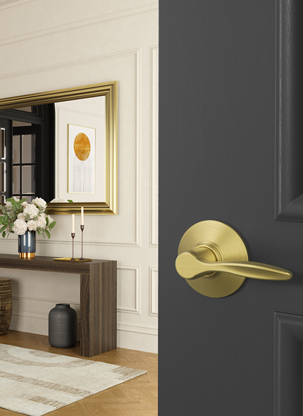 Modern living room with rich brown door and a satin brass door lever. 