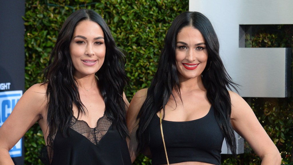 Brie Bella and Nikki Bella pregnant