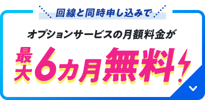 回線と同時申し込みでオプションサービスの月額料金が最大6カ月無料