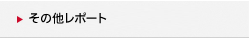 その他レポート