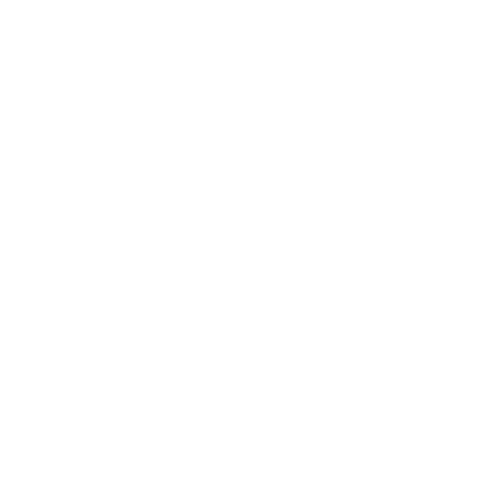 Logo Napoleon Sports & Casino